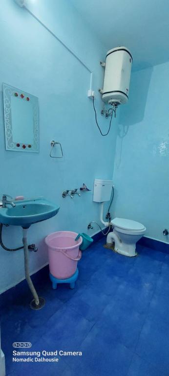 The Birds Hostel, Dalhousie photo