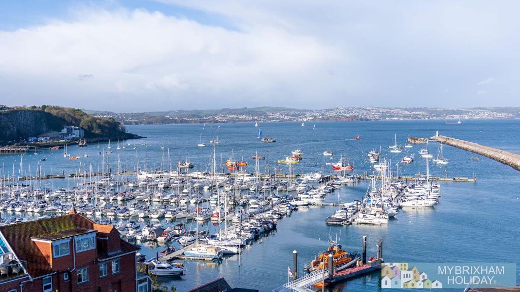 Breakwater View, Brixham