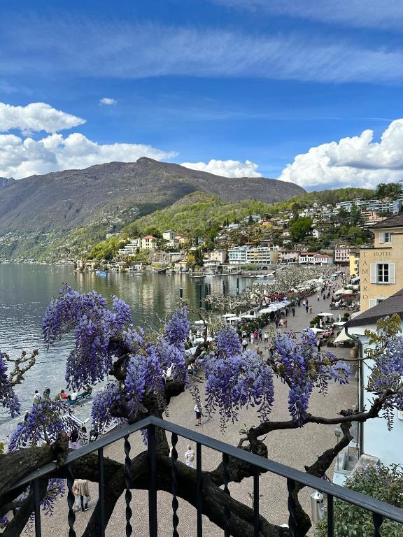Appartamento Ascona Vista Lago - 4