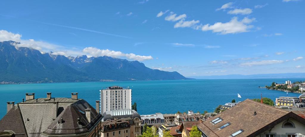 Loft la plus belle vue du lac Léman Montreux - 2