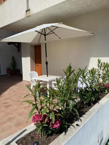 lacasadisara, Vieste