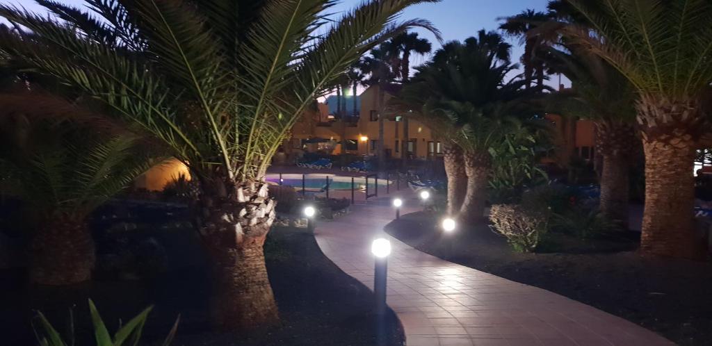 Oasis Royal 3 piscinas - 4