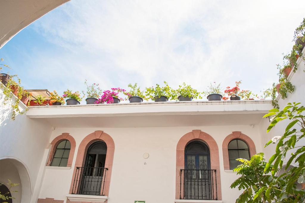 Hotel Catedral photo