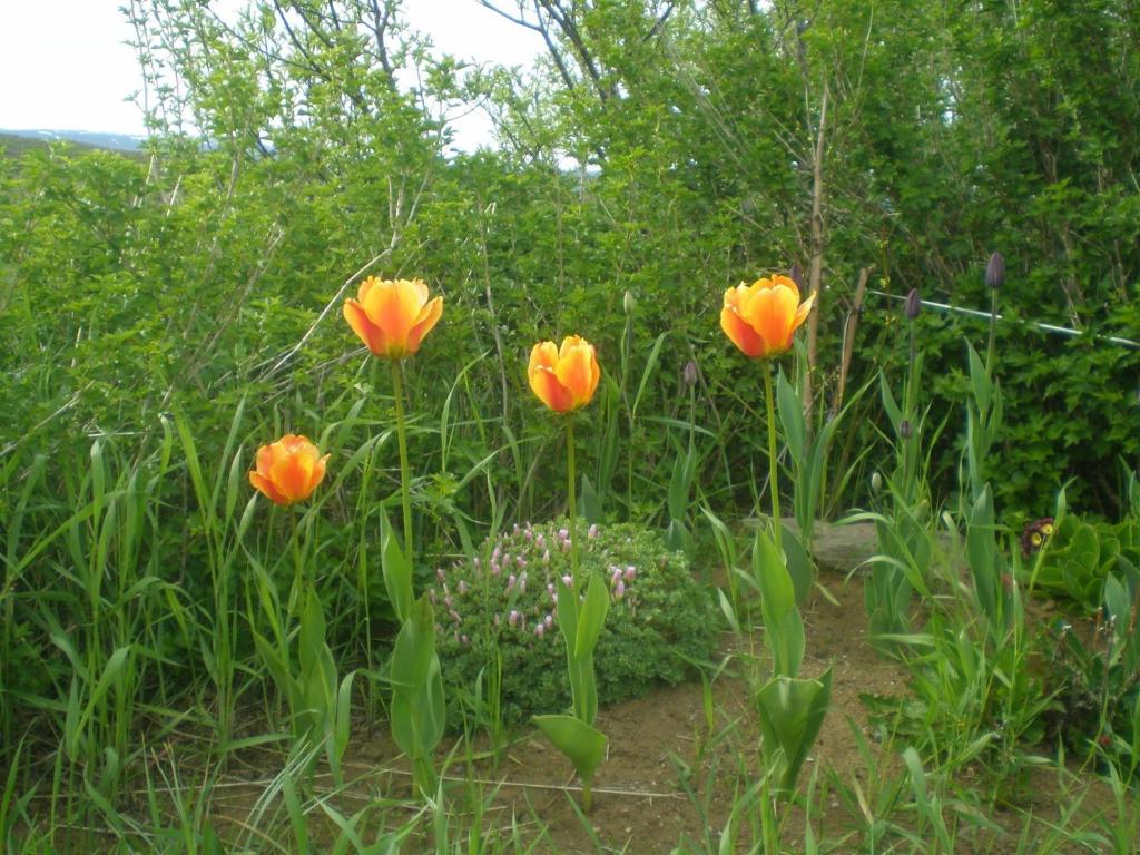 Surrounding environment