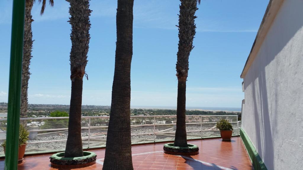 Vista Oasis — Attractions in the area in Maspalomas, Canary Islands