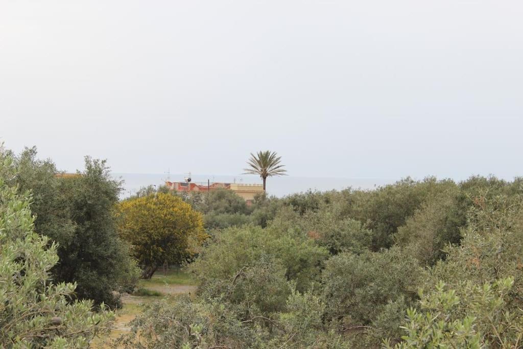 Villa al Sorriso Corallo - 3