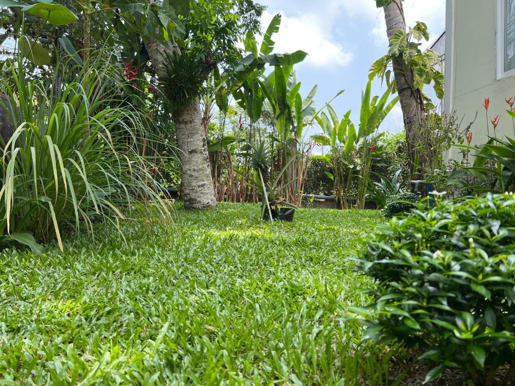 Surrounding environment