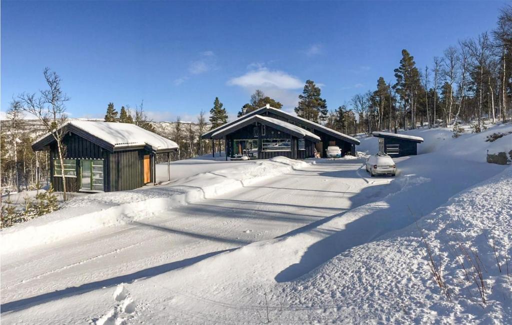 Stunning Home In Geilo With