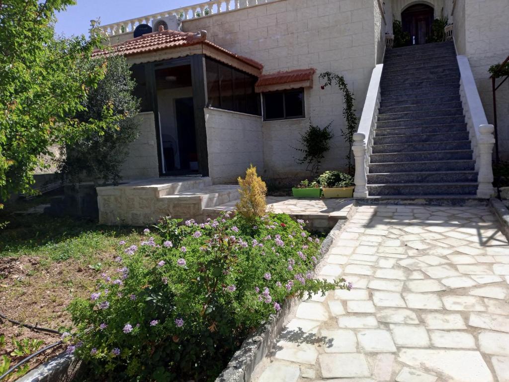family studio — Hotel in Petra