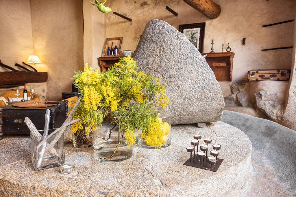 Hotel Nord Boutique — Restaurant & bars in Estellencs, Balearic Islands