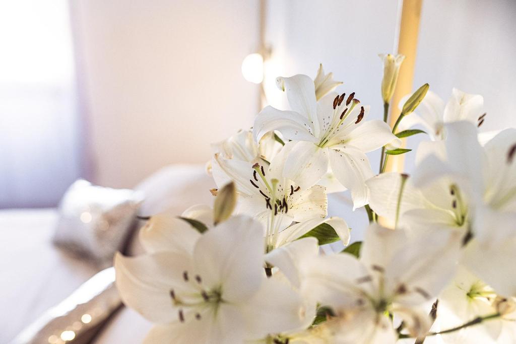 Hotel Nord Boutique — Hotel rooms in Estellencs, Balearic Islands