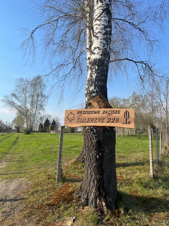 Brzozowe zacisze, Sulerzyż