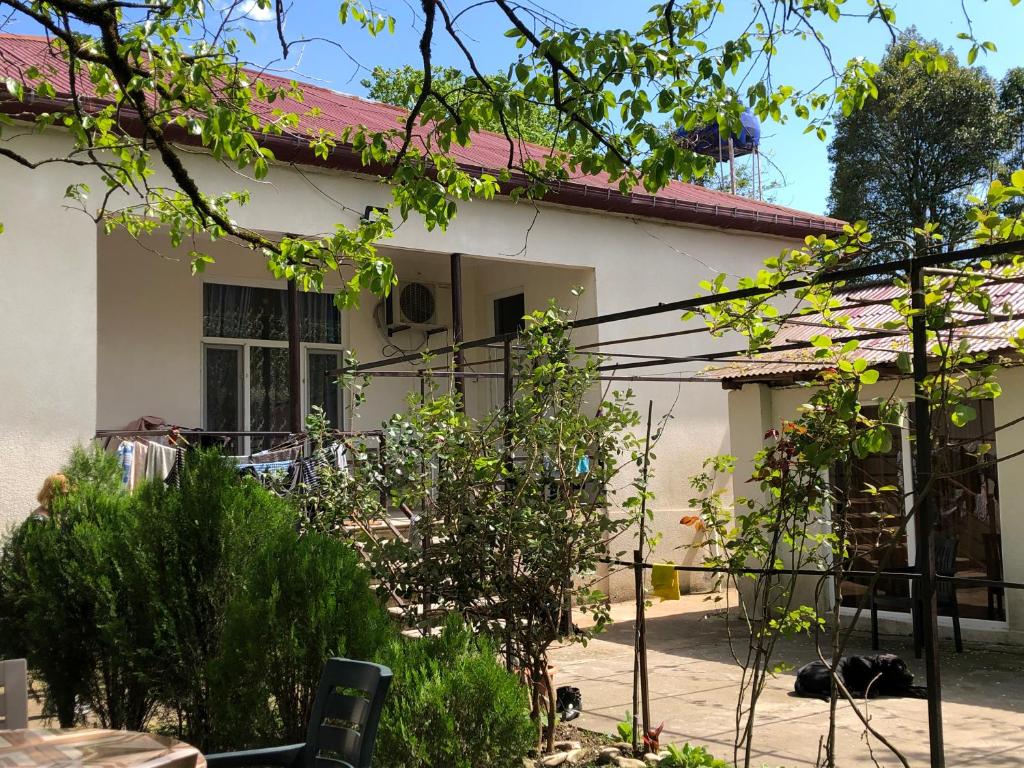 Martvili Guesthouse photo