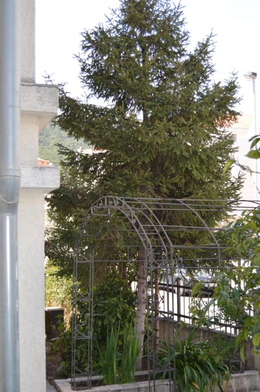Vila Maslina Guesthouse photo