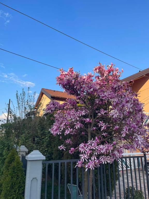 Apartman- Sarajevo - 3