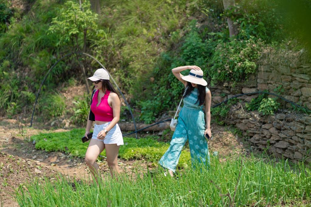 Surrounding environment