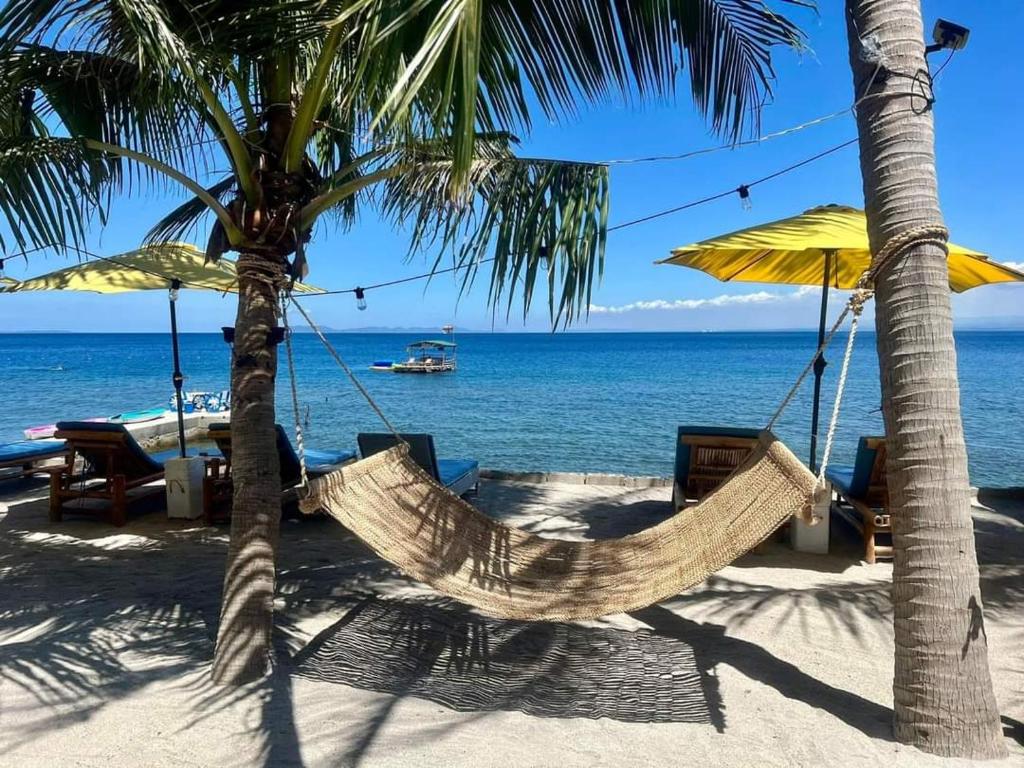 3. 더 필립 언 리..