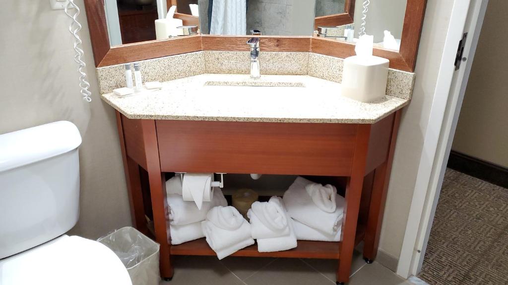 バスルーム（客室）