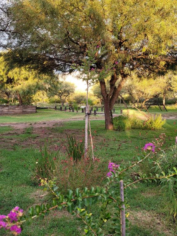 La Comarca - 5