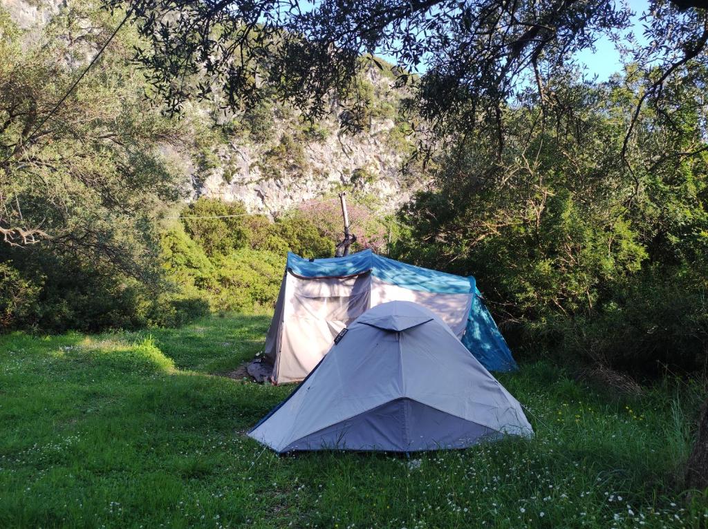 Gjipe Eco Campground photo