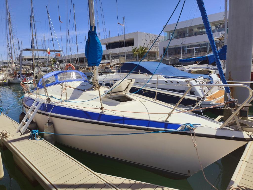 Lanzarote Pirat - 1