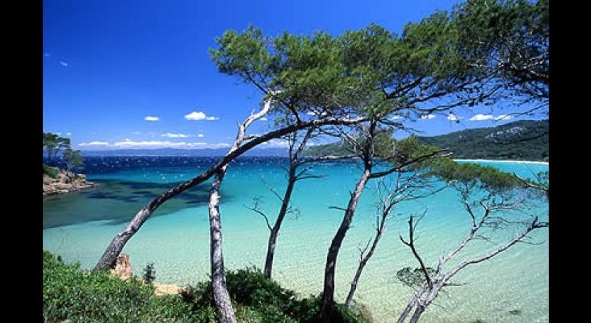 Petit coin de paradis les pieds dans l’eau - 1