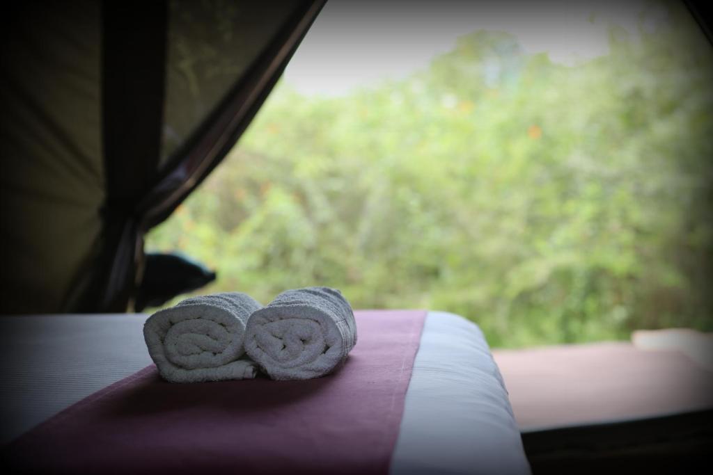 Basecamp - Yala photo