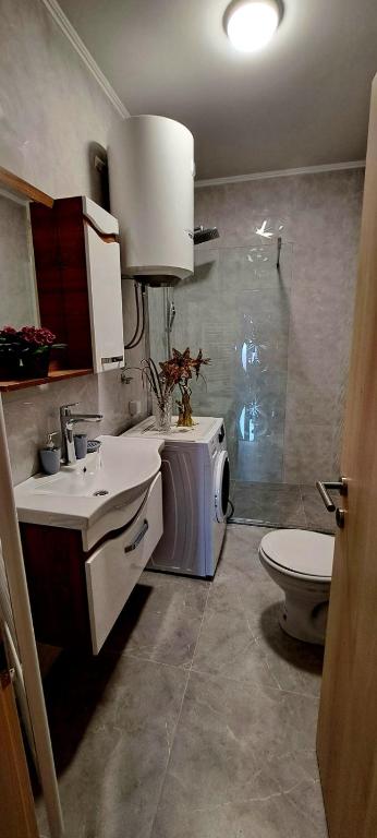 APARTMANI DIJANA - 3