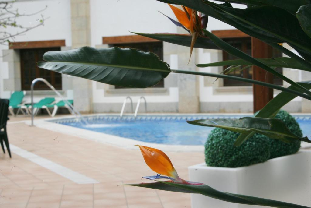 Hotel La Carolina — Swimming pool in Lloret de Mar, Catalonia
