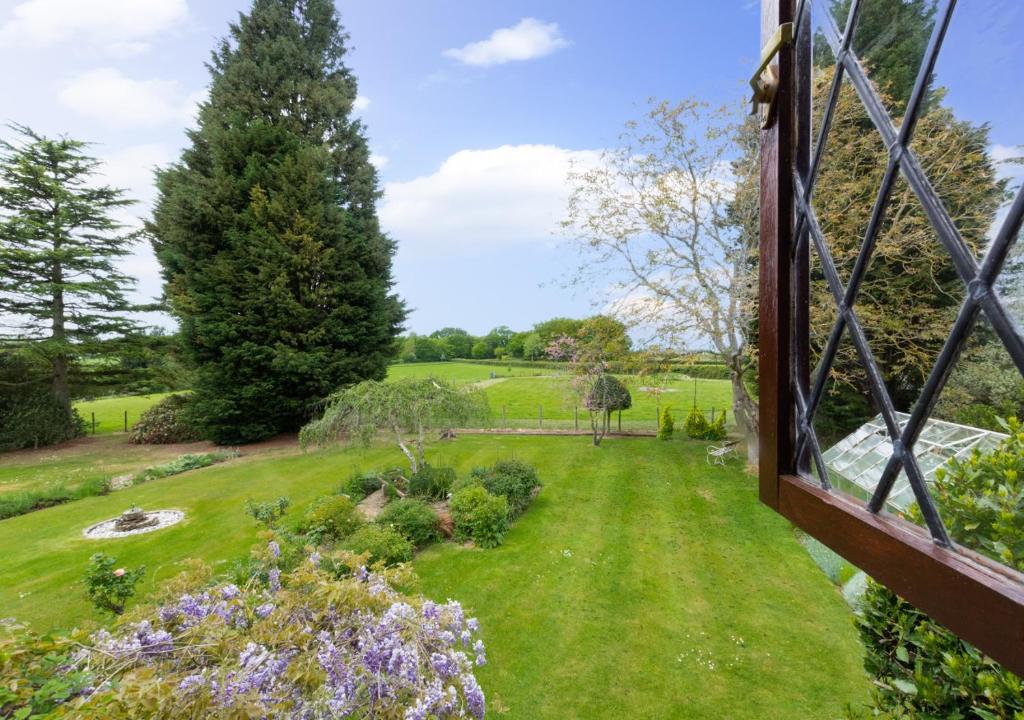 Meadow View