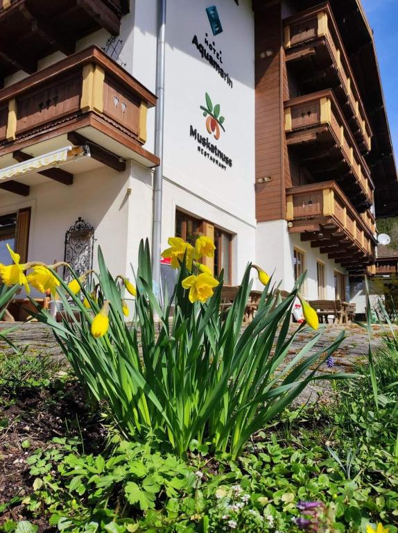 Hotel Aquamarin - 4