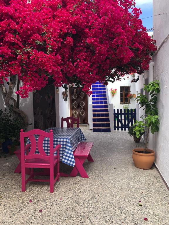 ANDALUZ LIVING - Traditional andalusian house, casa de vecinos - 1