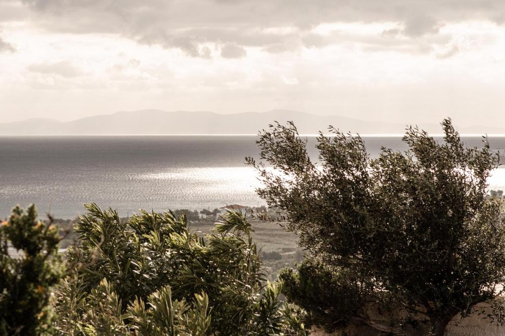Cycladic View Tinos photo