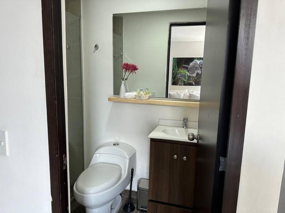 Great loft & turistic sites 2301 - 2