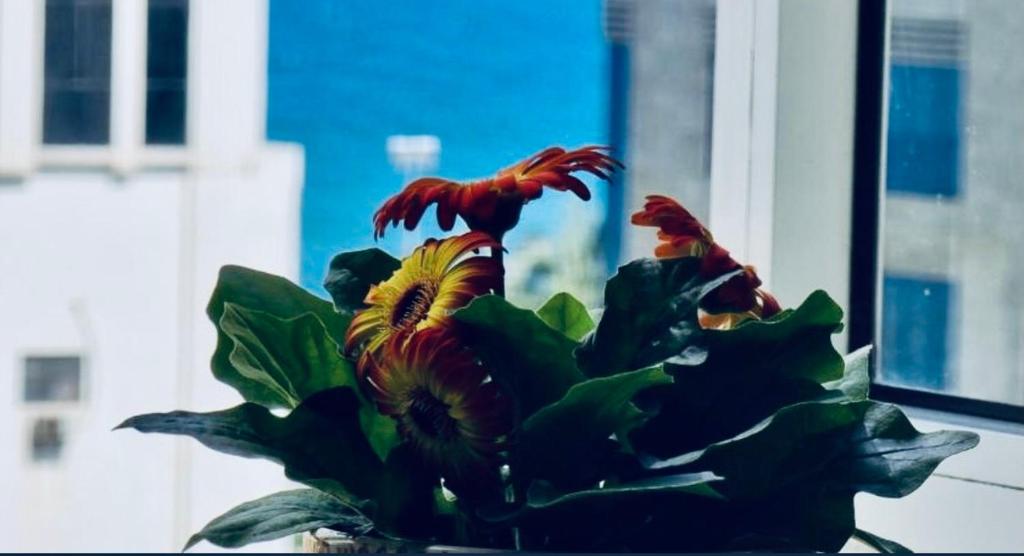 Delicate Serviced Apartment And Hotel