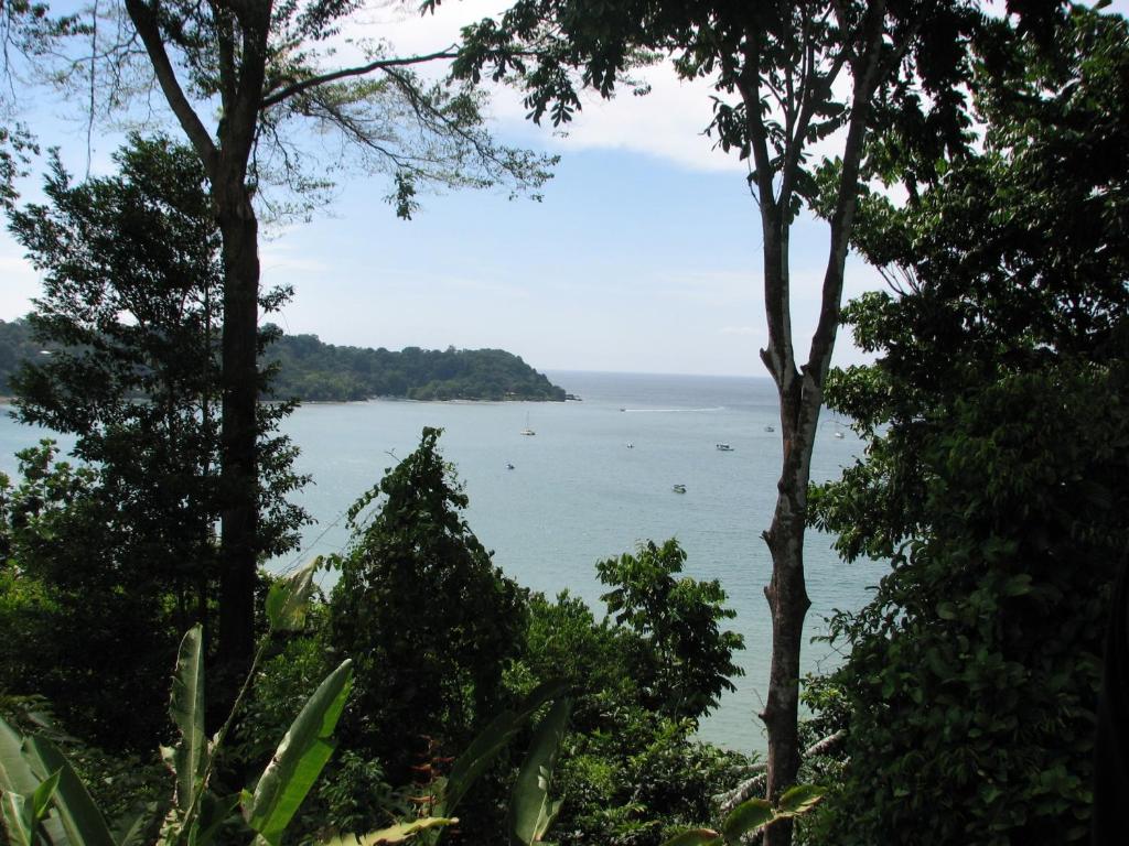 View, LookOut DrakeBay in Drake Bay
