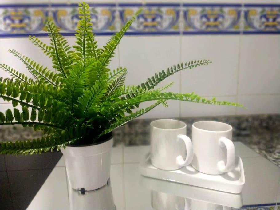 Apartamento Las Canastas Cádiz Centro a pie de Catedral y playa - 1