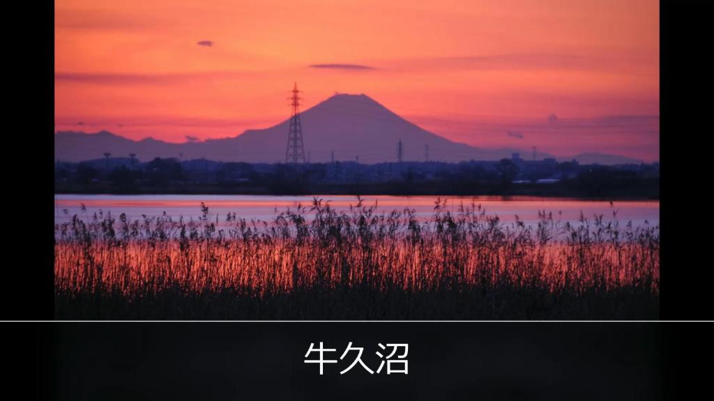 ROOM Ryugasaki 전경