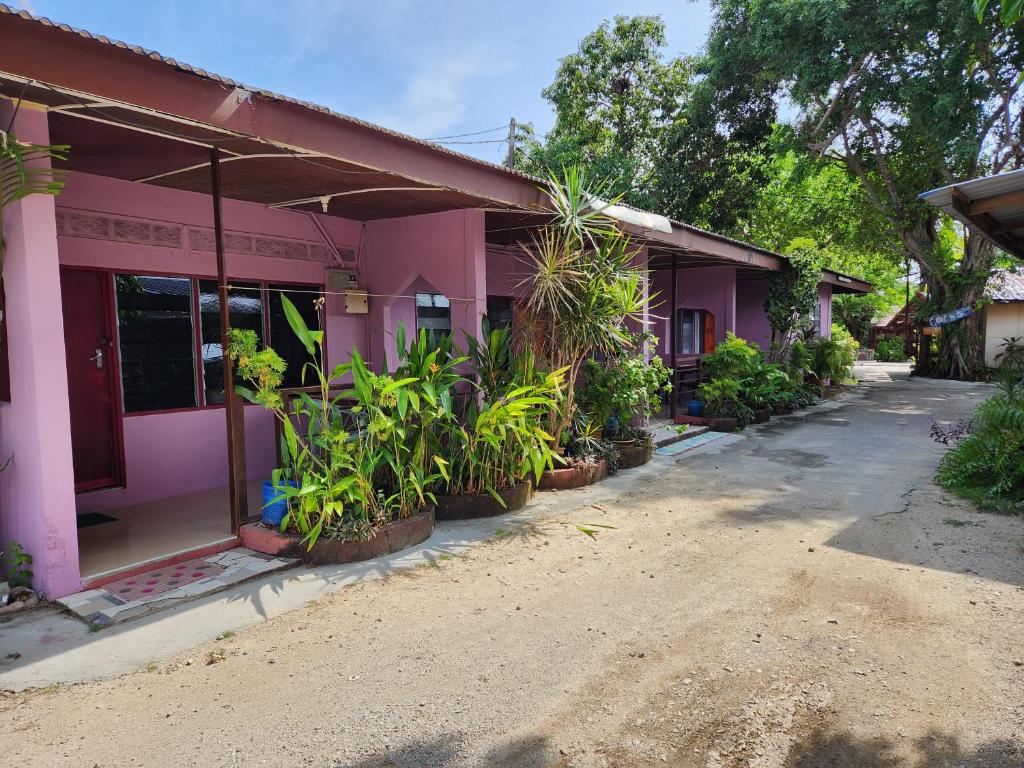 Gecko Guesthouse photo