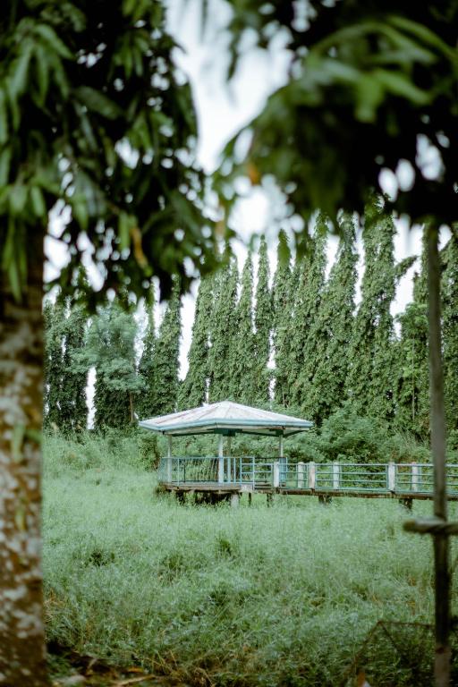 Surrounding environment