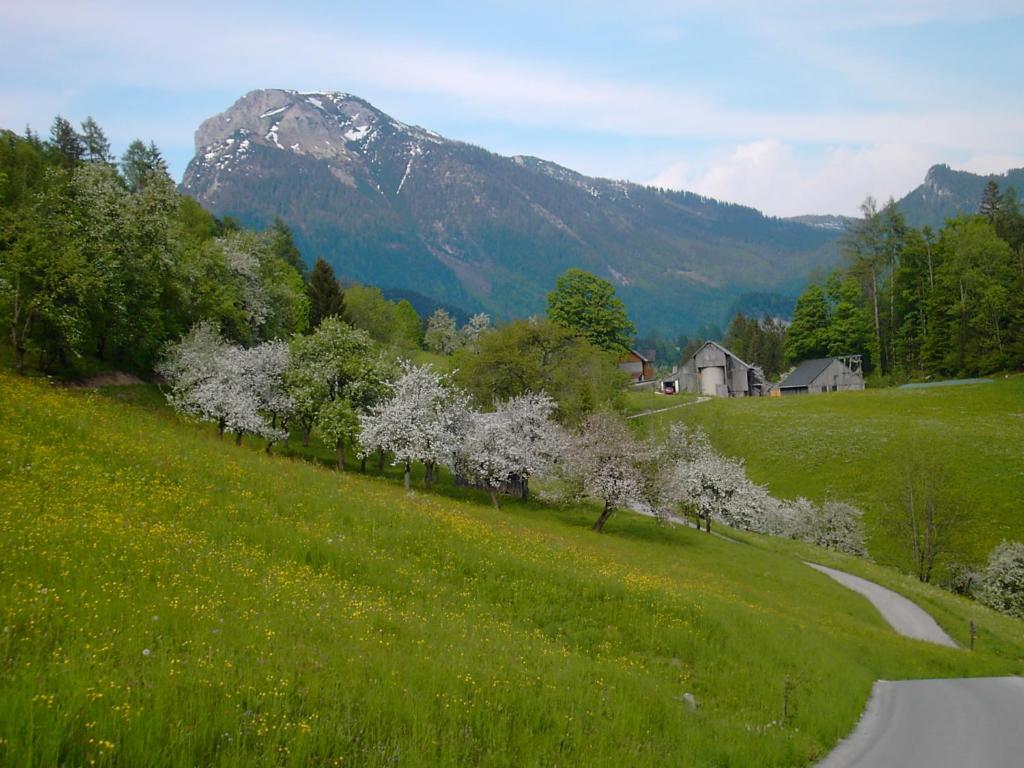 Landhaus Knödl-Alm - 4