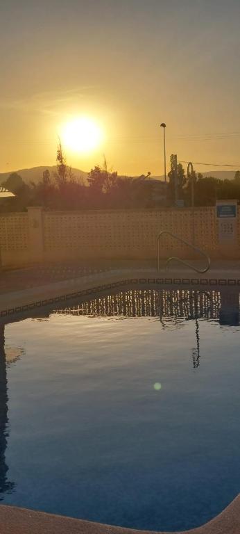 AmaNacer Oliva - 2