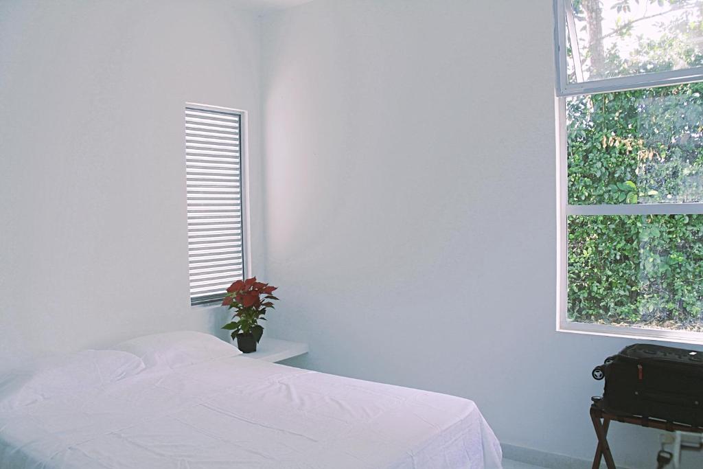 Finca Summerland ecohotel - 5