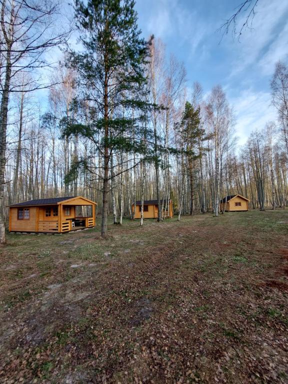 Kempings Mežvēji, Jaunciems