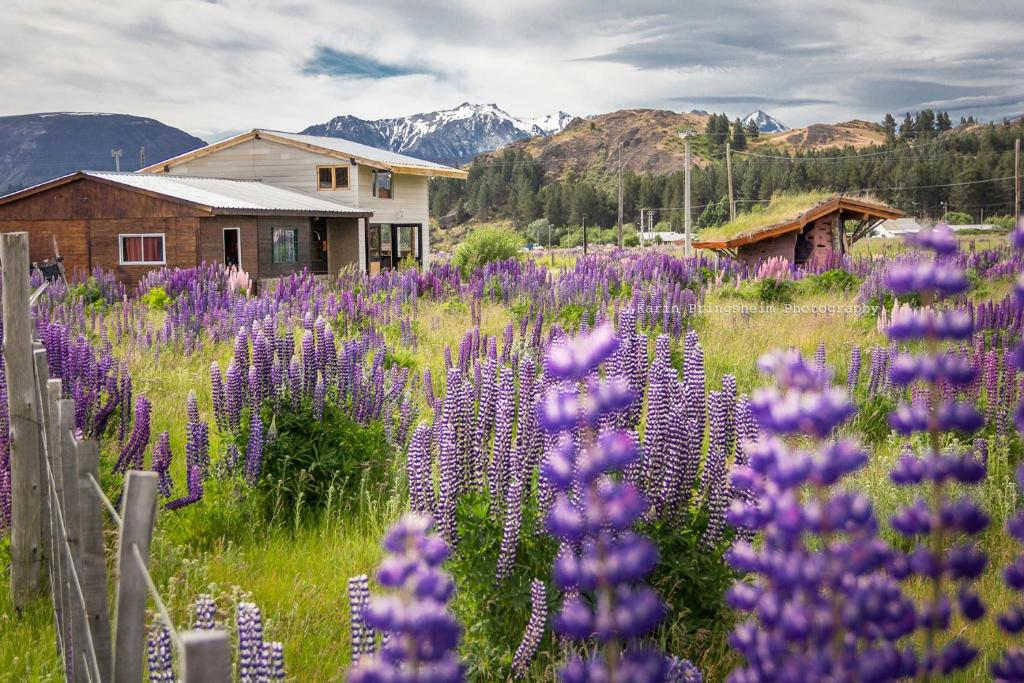 Piuke Mapu Patagonia Hostel photo