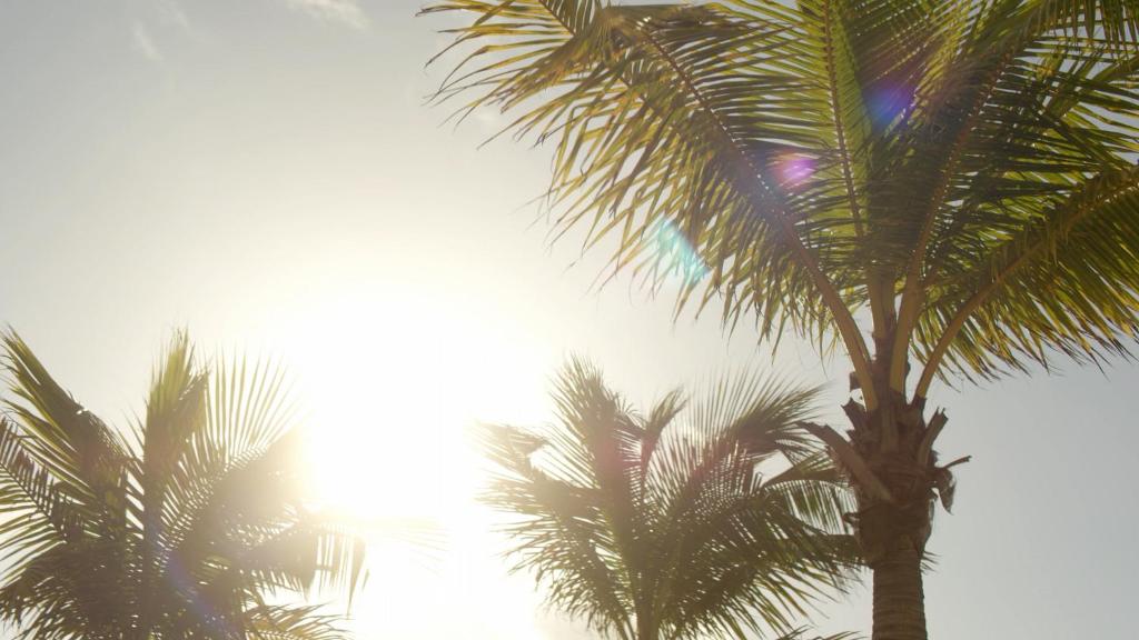 Secrets Riviera Cancun All Preferred -Adults Only – All inclusive photo