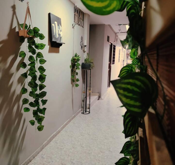HABITACIÓN CERCA AL CENTRO DE SANTA MARTA - 4