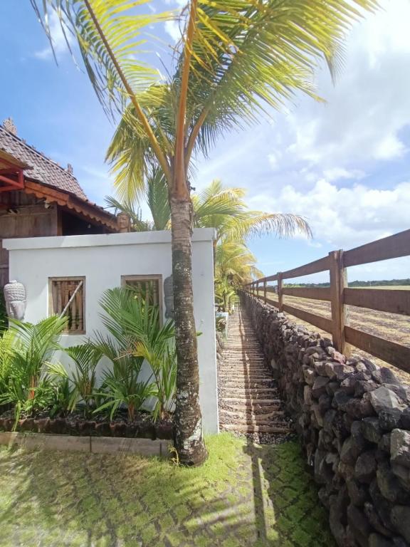 Pondok Cap Oleng Guesthouse Canggu by Ecommerceloka