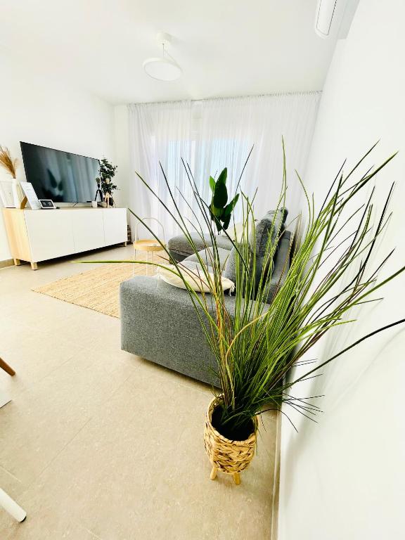 Apartamento Rokita Blanca - 2
