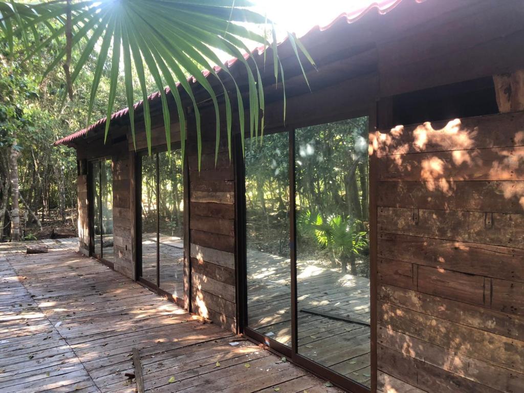 Nagual Yoga Jungle Retreat @Route De Cenote - 2